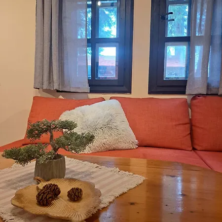 펜션 Aura House 돌나반야